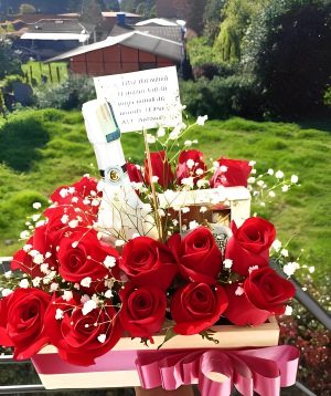 24 rosas, vino y ferrero x 4 R93